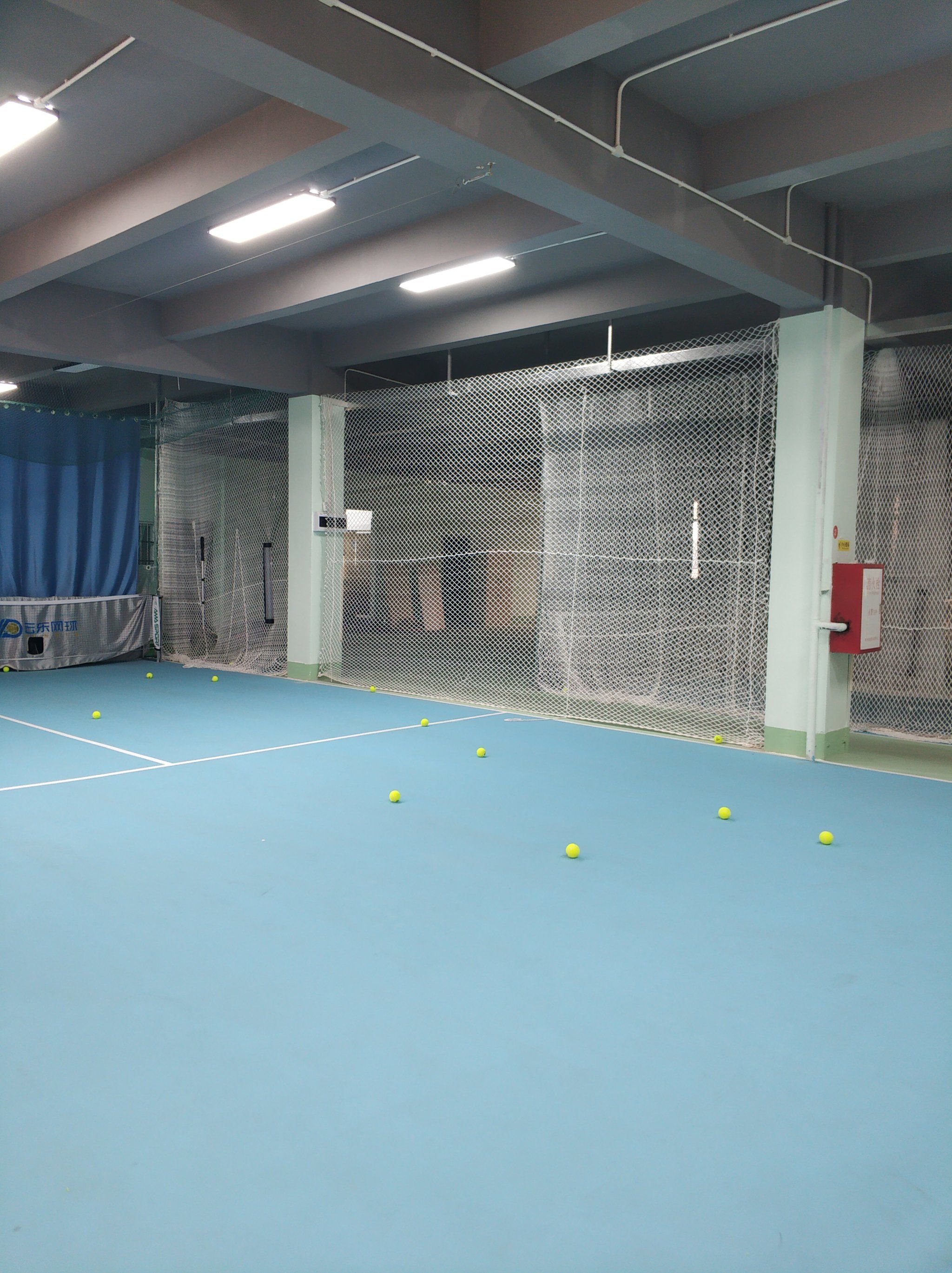 维尼修斯v 维尼修斯v